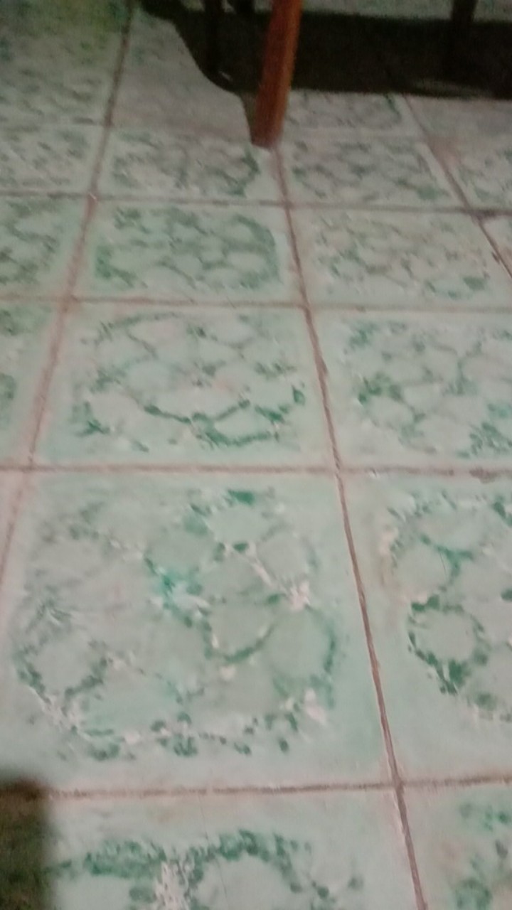 Perekat Perata Penembus Eco Wet Max 500 Ml