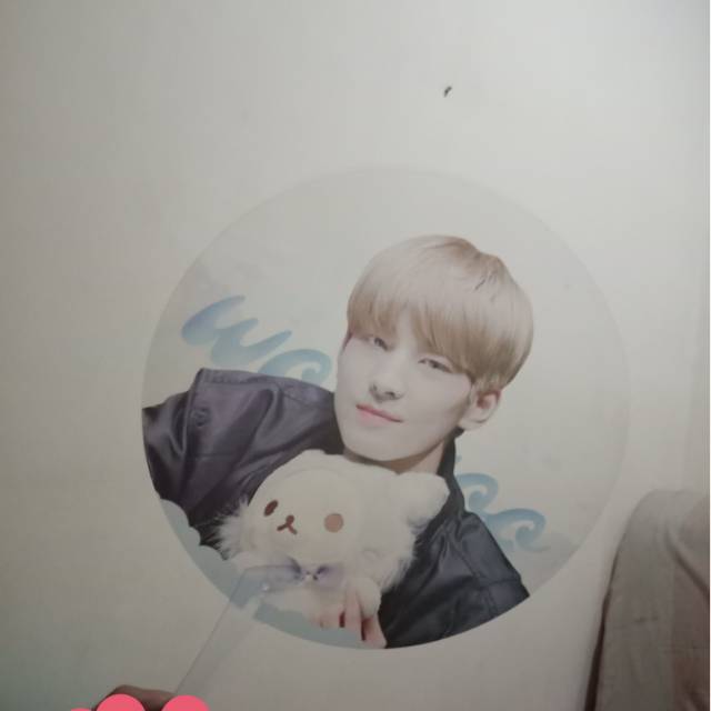 Transparent fan wonwoo