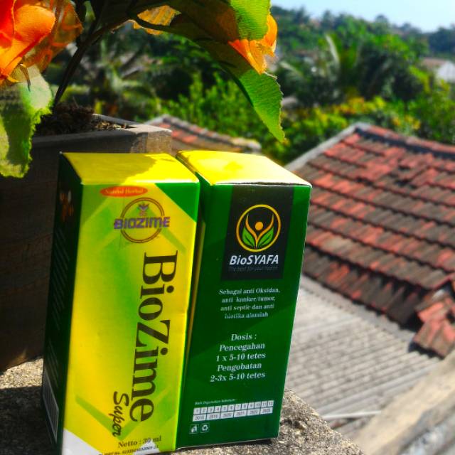 Biozime super, antioksidan, antibiotik alami, herbal anti kanker