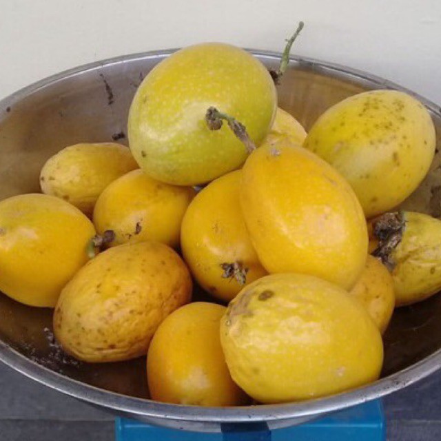 

buah markisa segar kuning 2kg fres