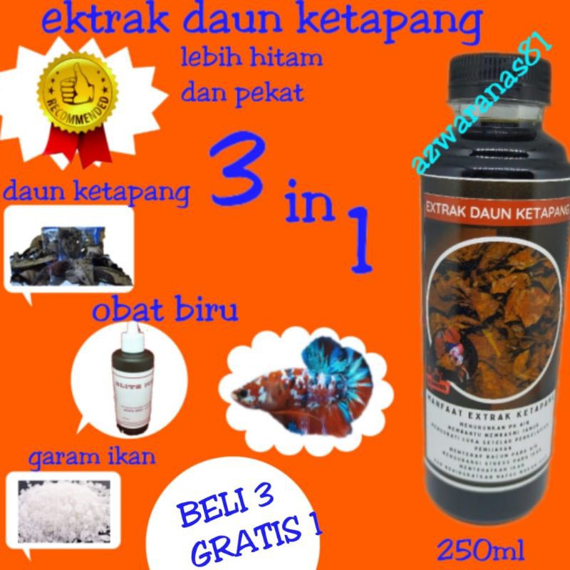 

ekstrak daun katapang