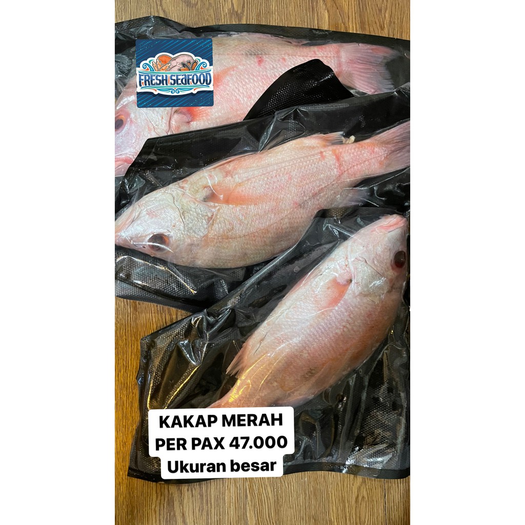 

IKAN KAKAP SATUAN/SEAFRESH