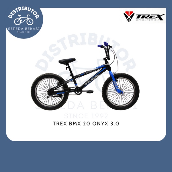 Sepeda Anak 20 BMX Trex Onyx 3.0 Ban Besar (Gojek/Grab/Cargo)