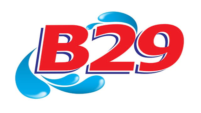 B29