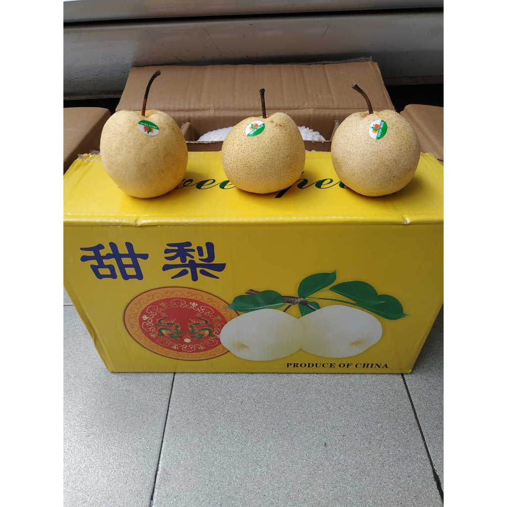 Buah Pir Madu Sweet Pear 1 Dus (10 Kg) Fresh Import