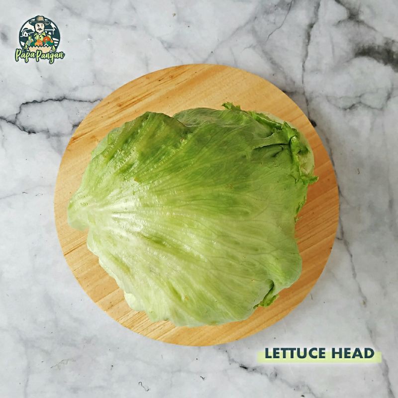 

LETTUCE HEAD Papapangan - 200 gram