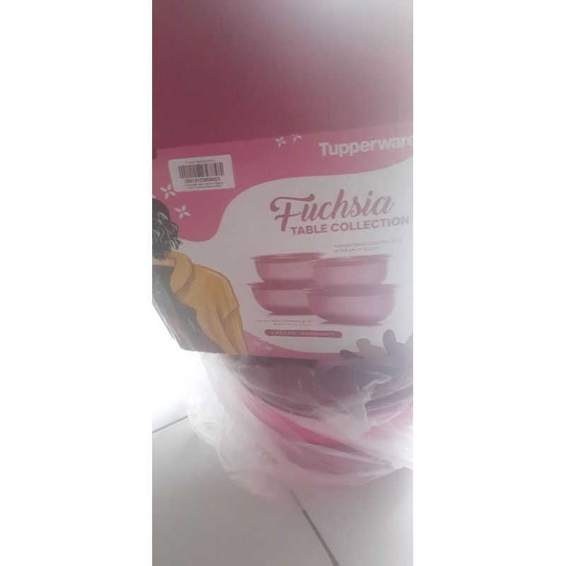 fuchsia table collection