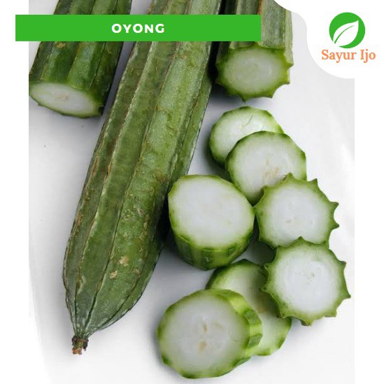 

Oyong 480 - 500 Gram Fresh Luffa Acutangula Chinese Okra Sayur Hijau Segar
