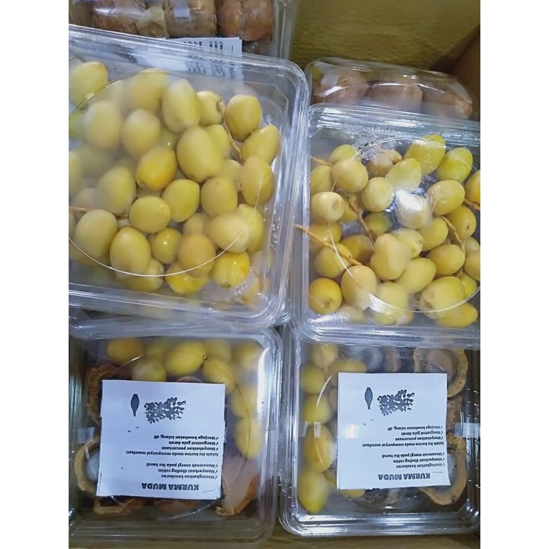 

kurma muda