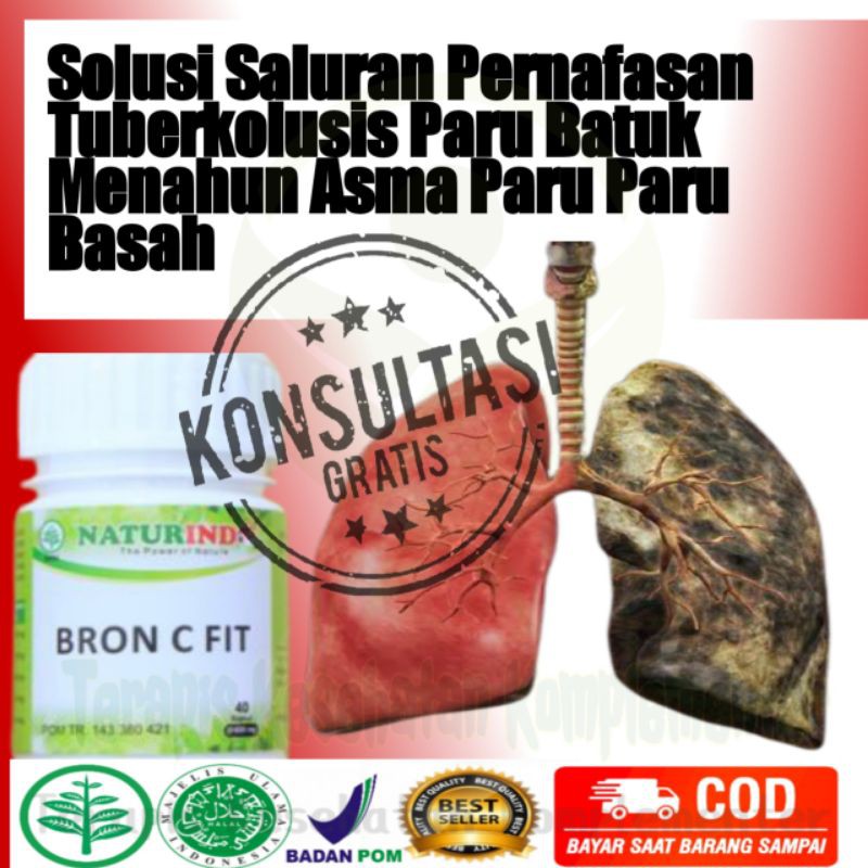 

Obat Herbal Sesak Nafas Gurah Paru-Paru Perokok Berat Batuk Berdahak Menahun