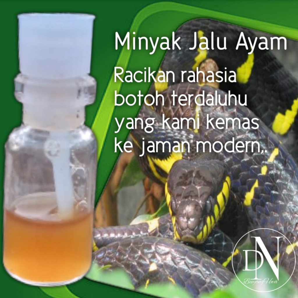 doping ayam bangkok aduan suplemen vitamin minyak taji