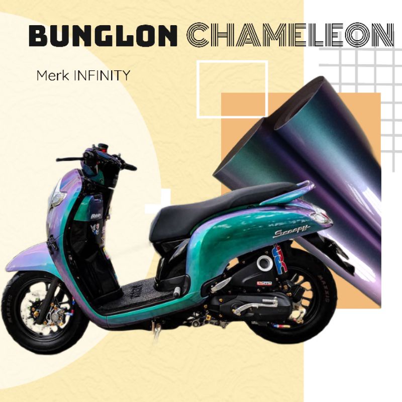 Sticker skotlet bunglon chameleon merk infinity scotlite motor scoopy beat vario nmax scotlight bung