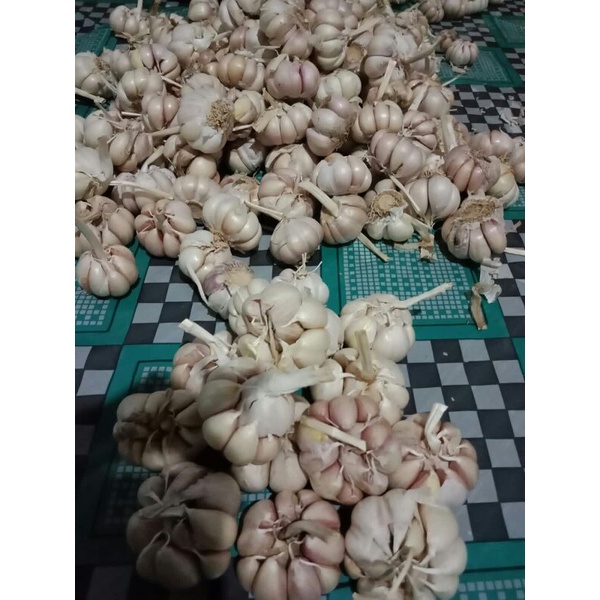 

bawang putih sinco dan kating kupas 1kg