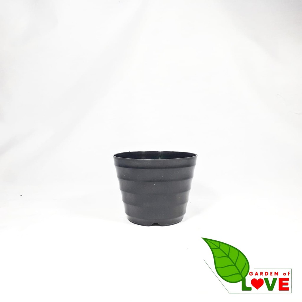 Pot Bunga Plastik 12cm / Kopeng 12 Hitam - Pot Tanaman Plastik 12 Cm Warna Hitam Harga Grosir Hitam