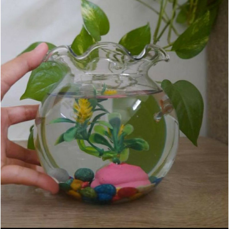 Aquarium Bulat Fish Ball 1.5L