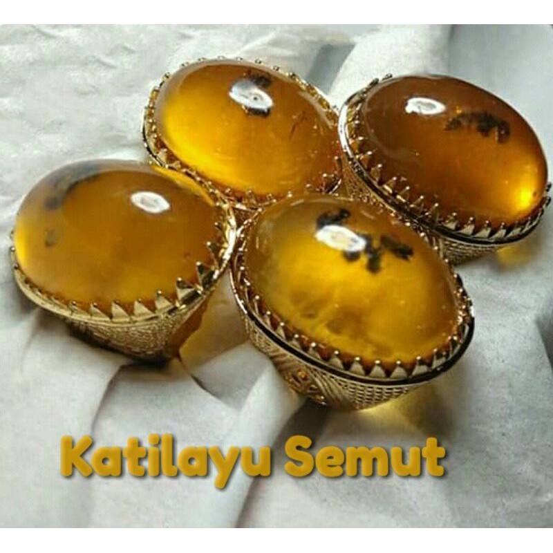 Batu Cincin Fosil Katilayu Semut HQ
