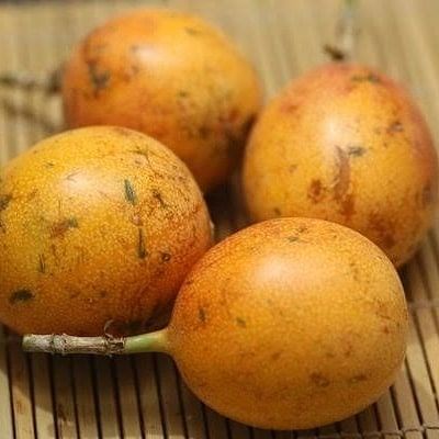 MATENG POHON JERUK LEMON SUPER JERUK INFOR GRADE (A)  1KG JERUK MURAH JERUK OBAT PENURUN BERAT BADAN