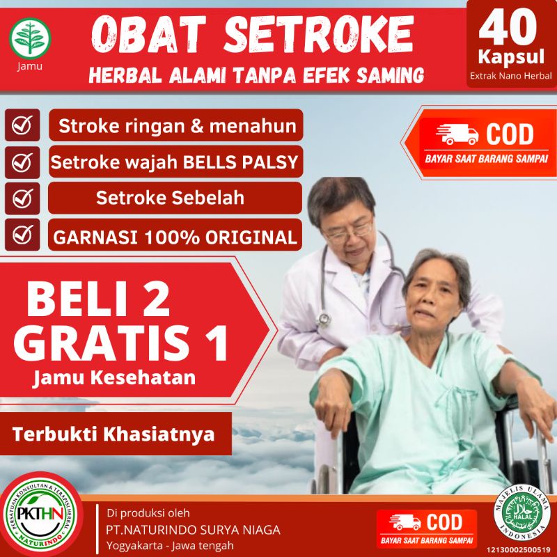 OBAT STROKE STRUK OBAT STROK RINGAN BERAT HERBAL AMPUH BPOM OBAT LUMPUH SUSAH JALAN NATURINDO HERBAL AMPUH stroke ringan dan berat bells palsu stroke wajah