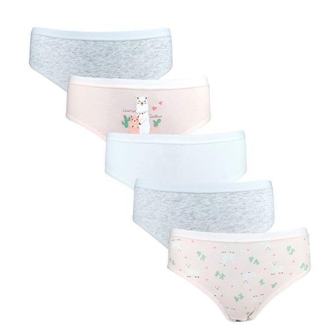 Panty Pack (Celana Dalam) Young Hearts Llama Cactus Midi Y20-G00579Mix