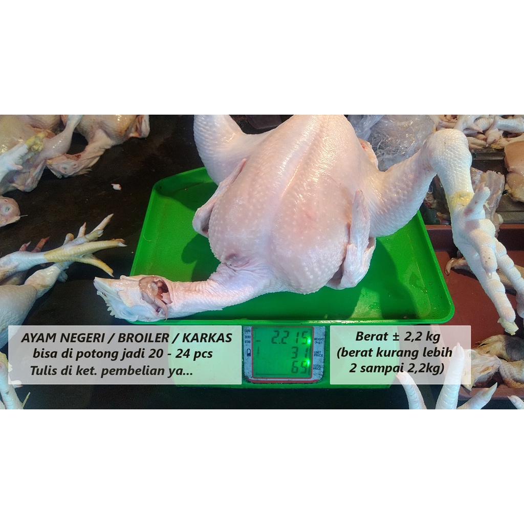 AYAM NEGERI / BROILER / KARKAS Utuh berat ± 2,2 kg