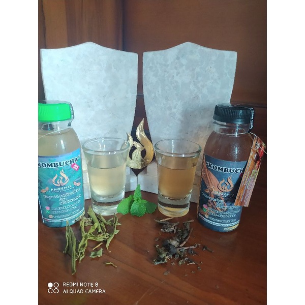 

PHOENIX_Kombucha