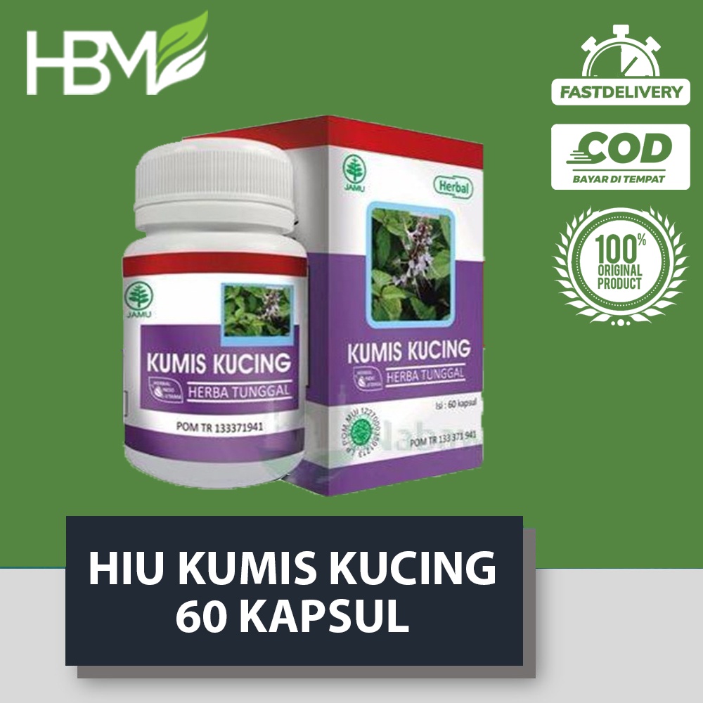 HIU KUMIS KUCING 60 KAPSUL HERBAL ASAM URAT HIPERTENSI DIABETES