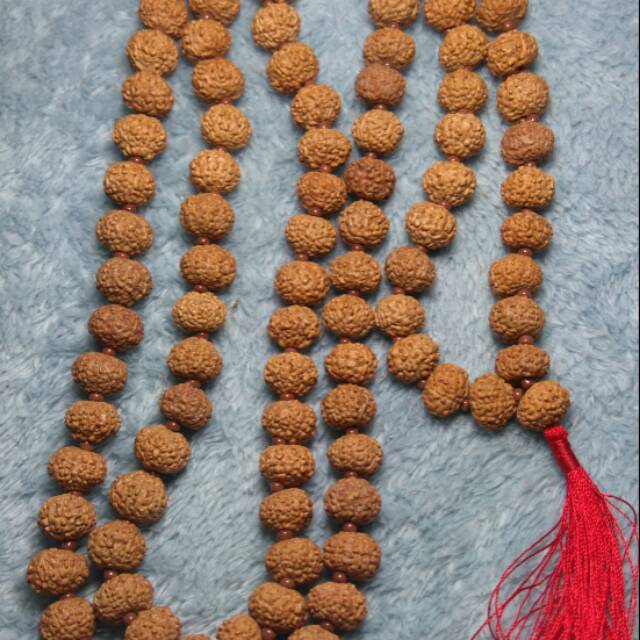 rudraksha jenitri  mukhi 9
