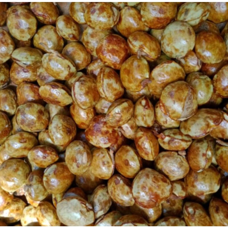

jengkol tua 500 gr