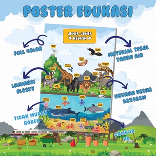 Poster Edukasi Anak Paud Balita TK Pndidikan Usia Dini Bahan Tebal Dan Tahan Air