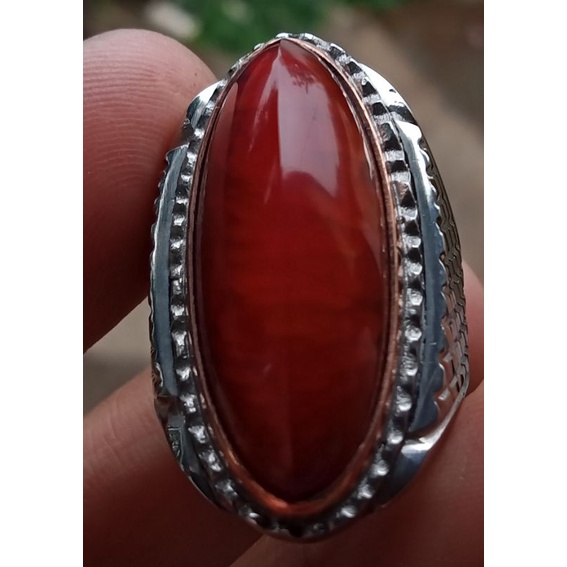 pandan merah sisik betok.ring 7