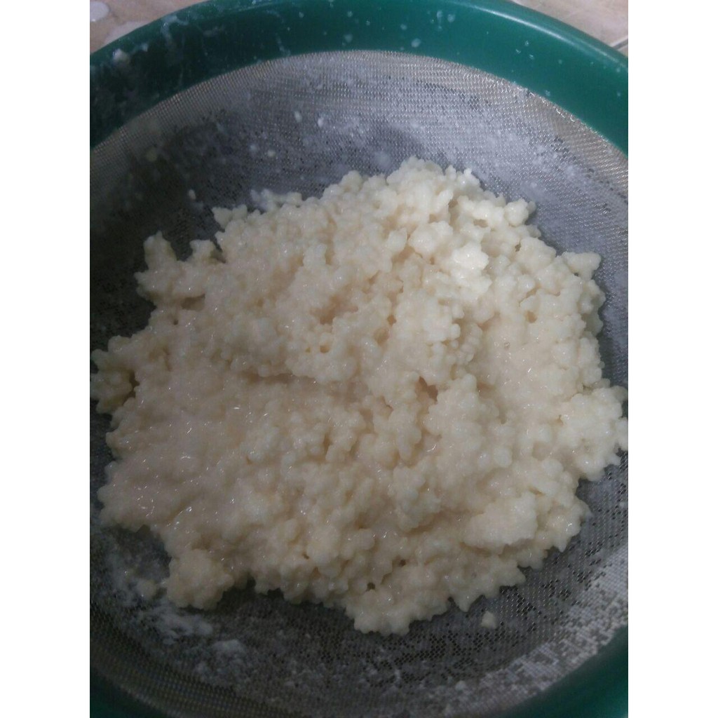 

bibit kefir kefir grains