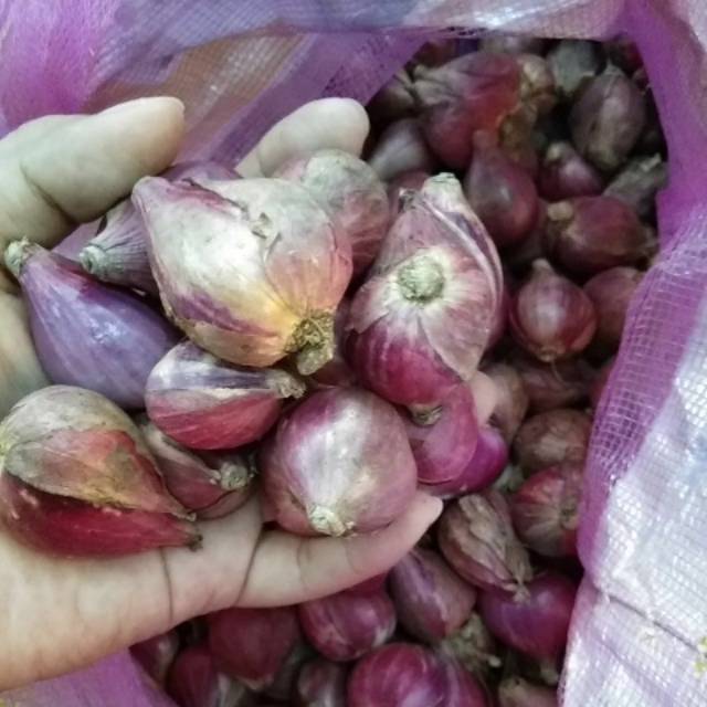 

Bawang Merah Brebes 1/4kg