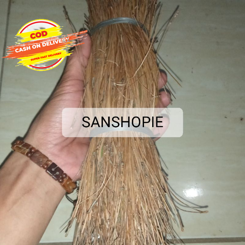 

Jual Daun Pinus Kering Per Ikat