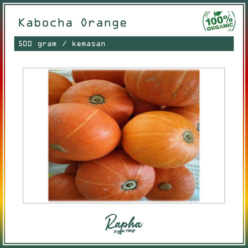 

Kabocha Orange Organik