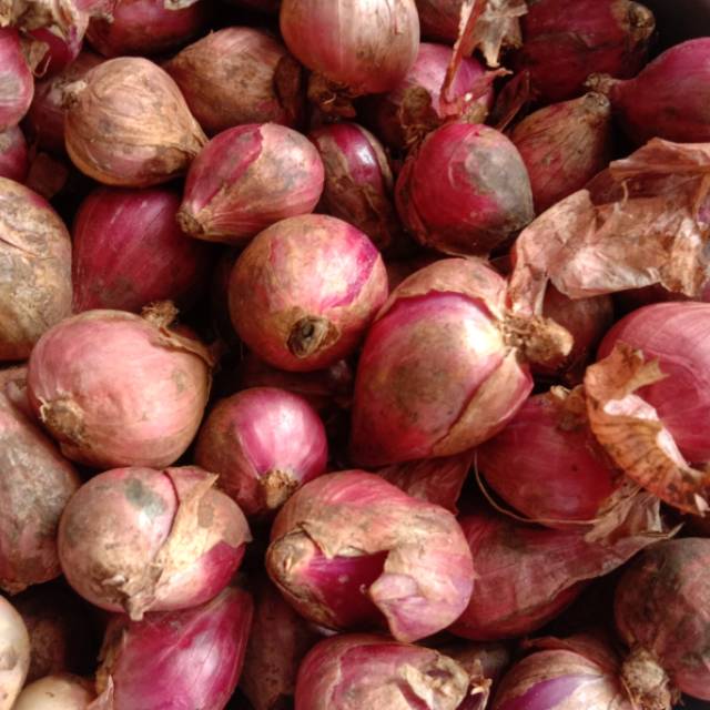 

Bawang merah