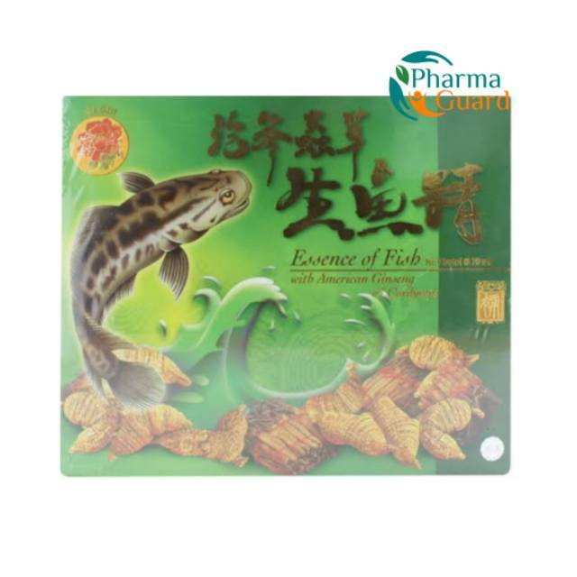 Sari pati ikan gabus - Fugui fish essence