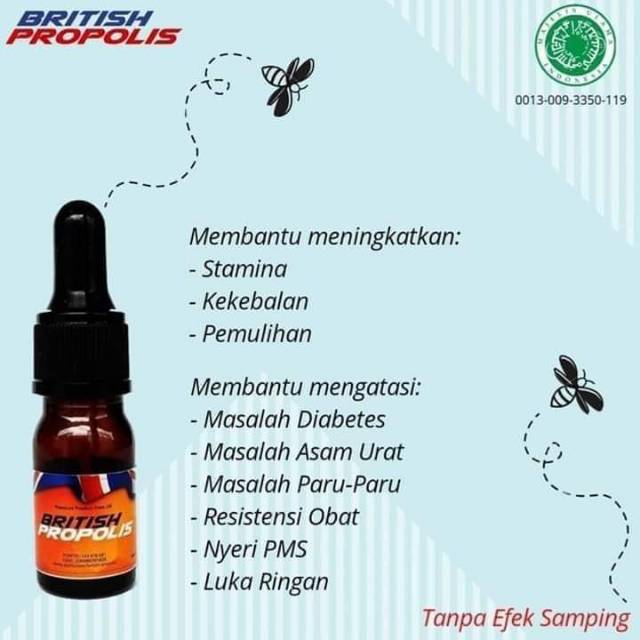 Kenyataan Mengenai Propolis Alodokter