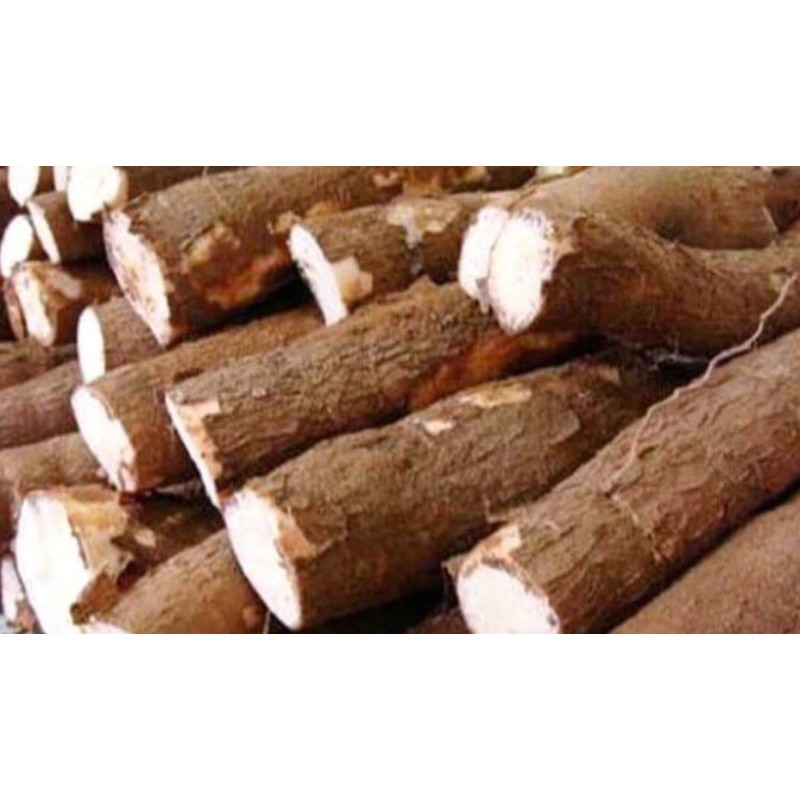 

Singkong 1000 gram