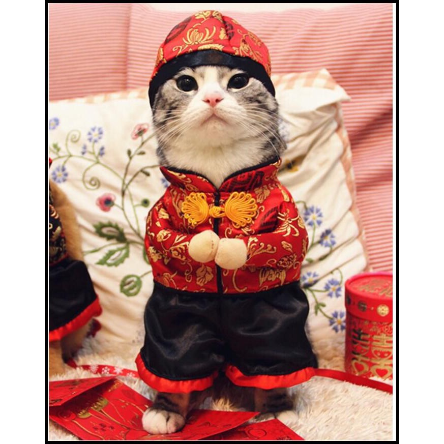 Baju Baju Imlek Anjing Kecil Sincha Anjing Dan Kucing Jantan Type B /