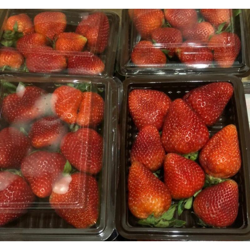 Strawberry korea jepang  lebih manis  dari lokal Shopee 