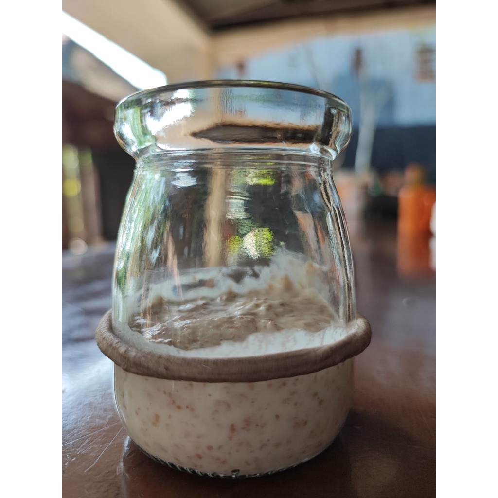 

SOURDOUGH GANDUM STARTER / RAGI ALAMI / WHEAT SOURDOUGH STARTER