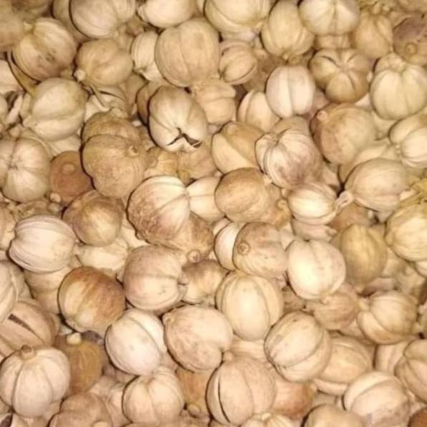 

∁ PROMO SPESIAL Kapulaga Jawa 500gr original