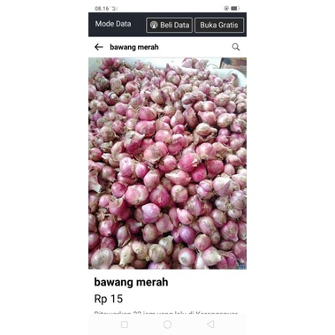 bawang merah 500g