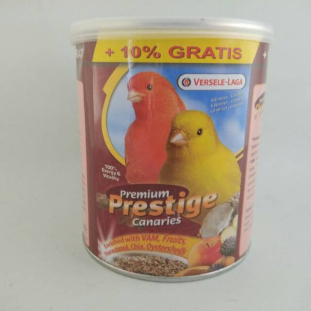 Prestige canaries prestige kenari prestige canary ✩