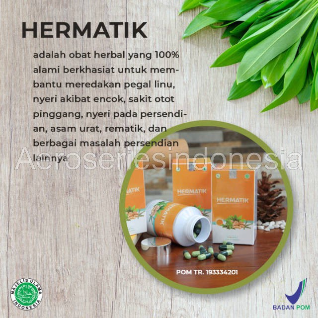 HERMATIK HERBAL OBAT PEGAL LINU NYERI SENDI REMATIK ASAM URAT