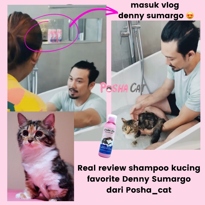 Posha_cat Face&amp;Body Cleanser Shampoo kucing 🇰🇷 | shampo kucing anti rontok dan bebas noda | repair bulu rusak