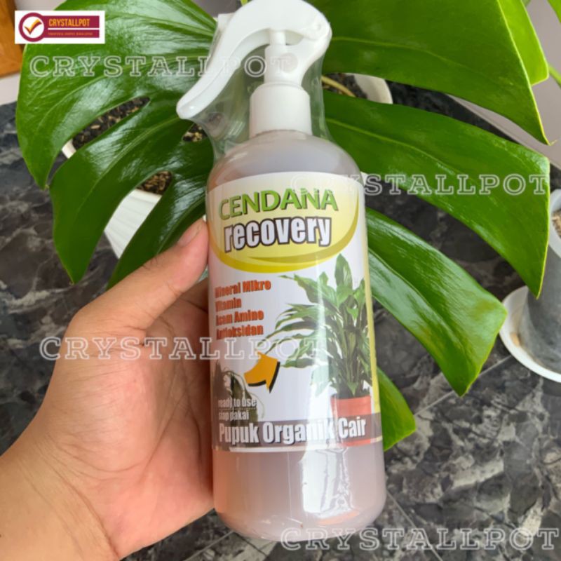 pupuk cair organik cendana recovery 500ml - pupuk anti stres tanaman