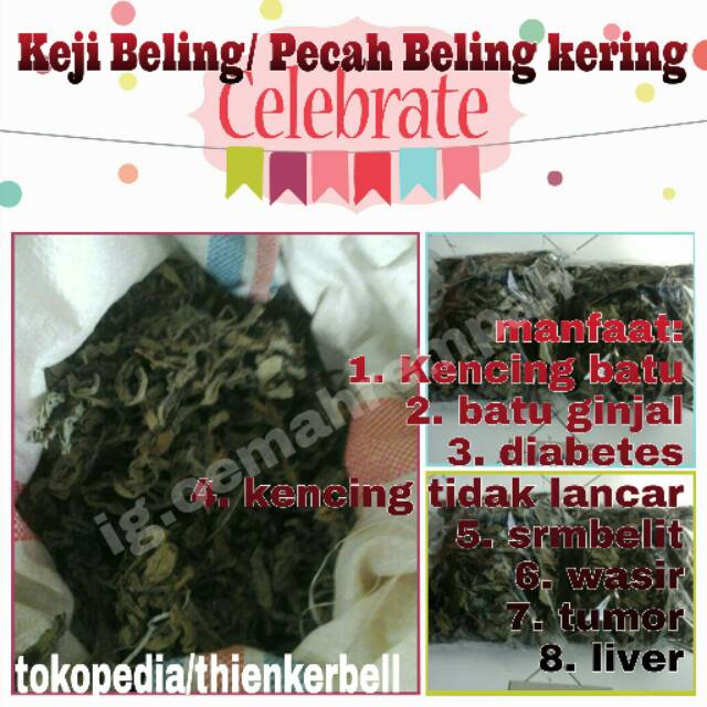 

Pecah beling kering, keji beling kering