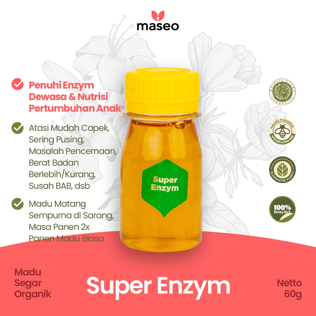

Madu Super Enzym Maseo Mini Size 60gr Madu Asli Murni Organik Madu Lambung Maag Gerd Stabilkan Hormon Metabolisme Jerawat Berlebih