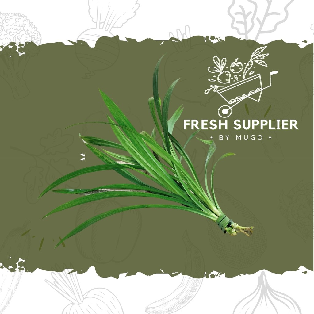 

Daun Pandan 1 Ikat Fresh Supplier